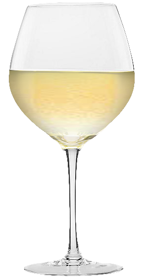 Bianco: Riesling (fermo) Vanzini